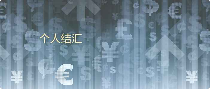 个人结汇 2@2x.png