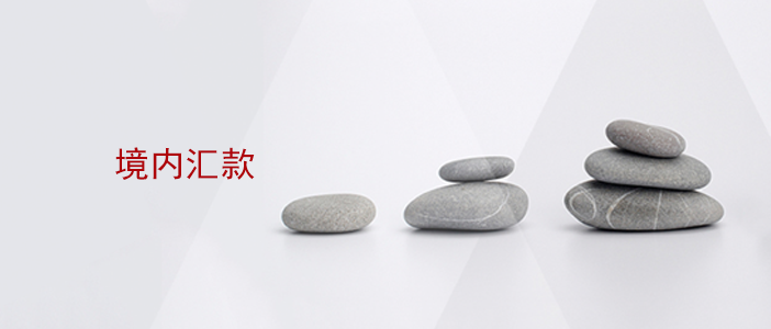 境内-手机端.png