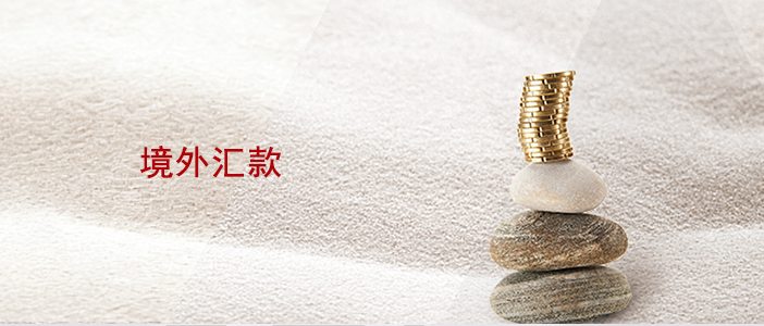 境外-手机端.png