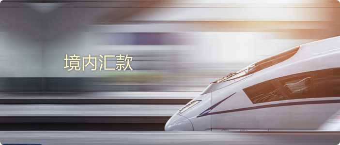 境内汇款 2@2x.png