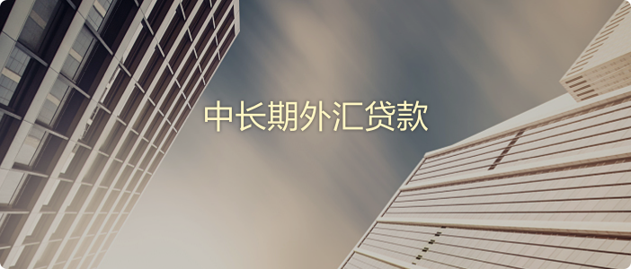 中长期外汇贷款 2@2x.png