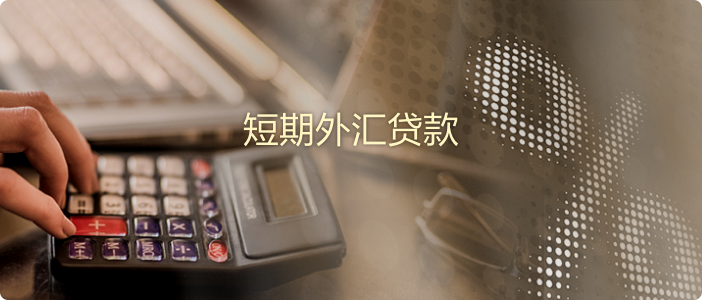 短期外汇贷款 2@2x.png