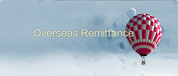 境外汇款 2.png