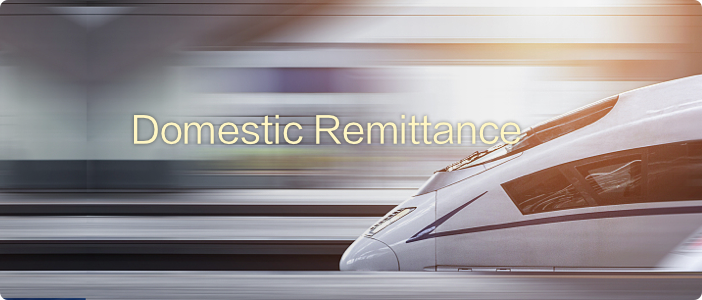 境内汇款 2.png