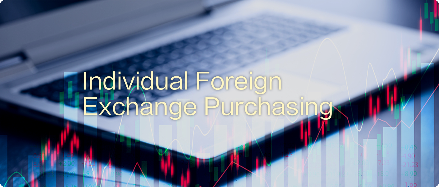 个人购汇 2@2x.png