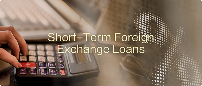 短期外汇贷款 2.png