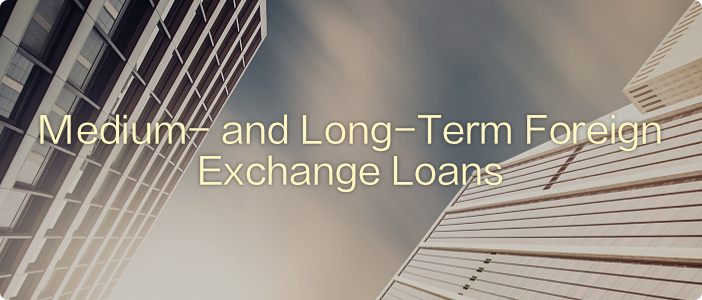 中长期外汇贷款 2.png